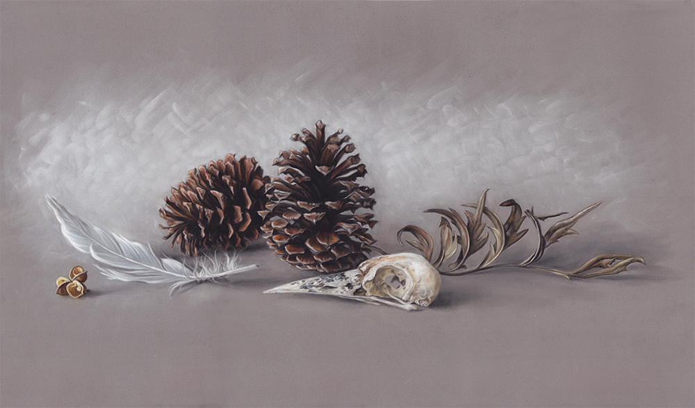 Pieces and Pinecones