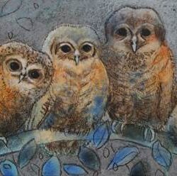 Loes Owls