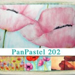 PanPastel 202