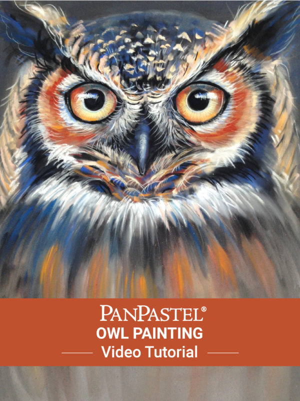 Owl Painting Demo Free Video